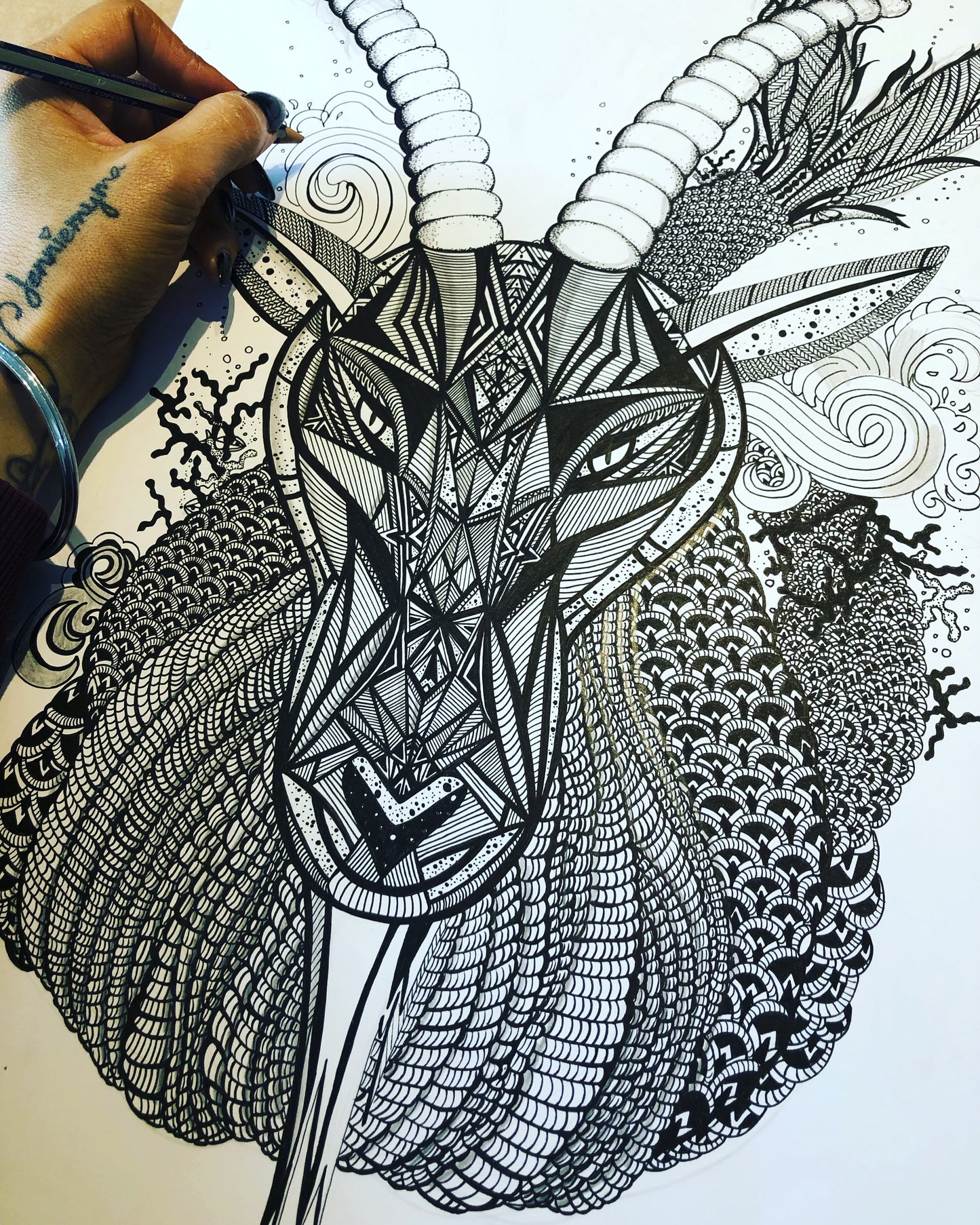 CAPRICORN Star Sign Fine Art Prints