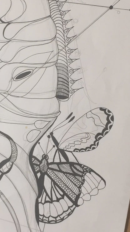 CHRYSALIS The Butterfly Fine Art Prints